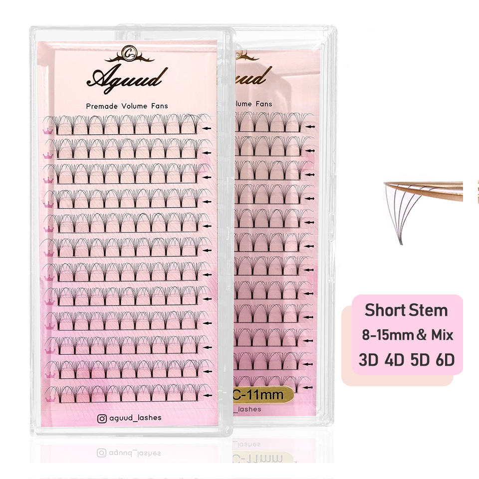 Eyelash Extension Review - AGUUD Soft Natural Premade Volume Fans