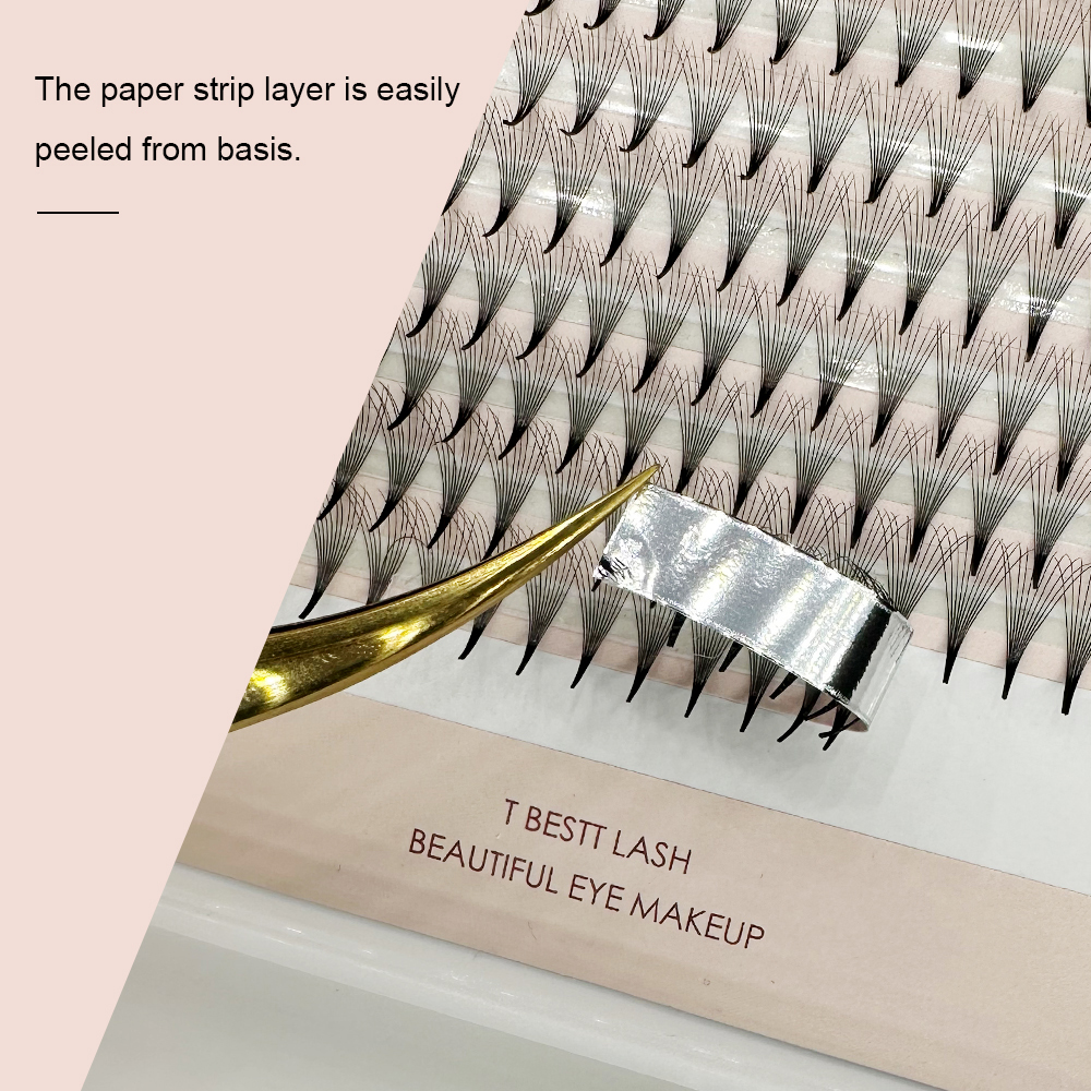 TBestt 5D/6D/8D/10D Premade Fa - Eyelash Extension Review 评论和价格