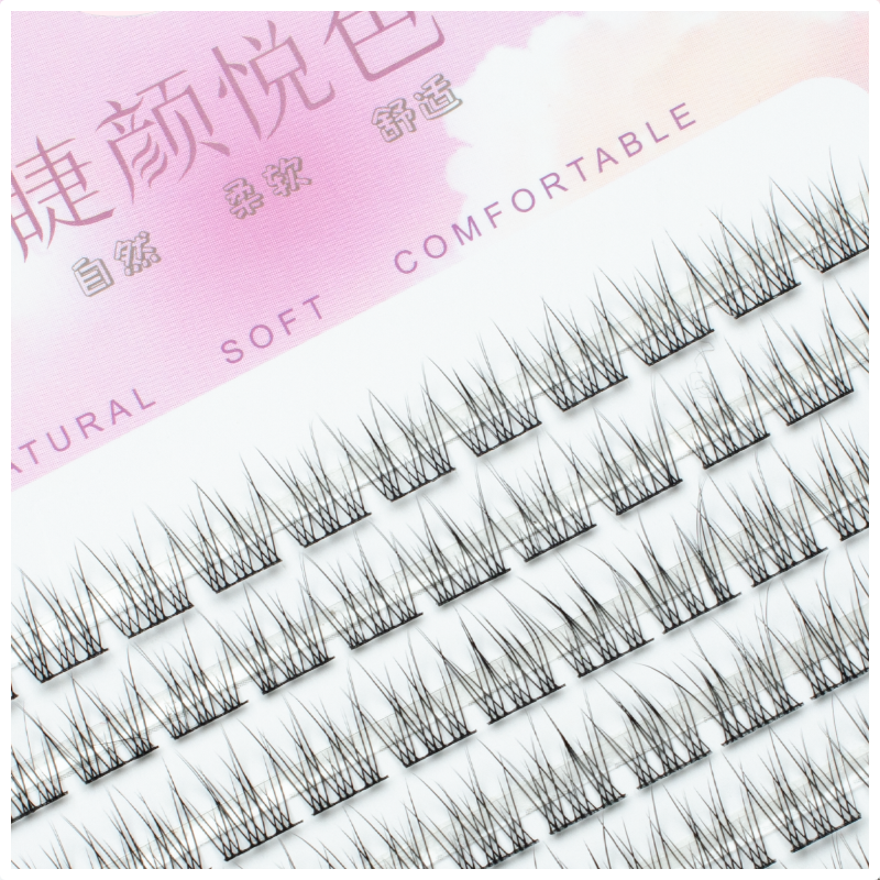 Fish Eyeslash Extension Person - Eyelash Extension Japanese 评论和价格